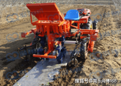 行业查询拜访：2023年全球蔬菜移栽机市场规模为